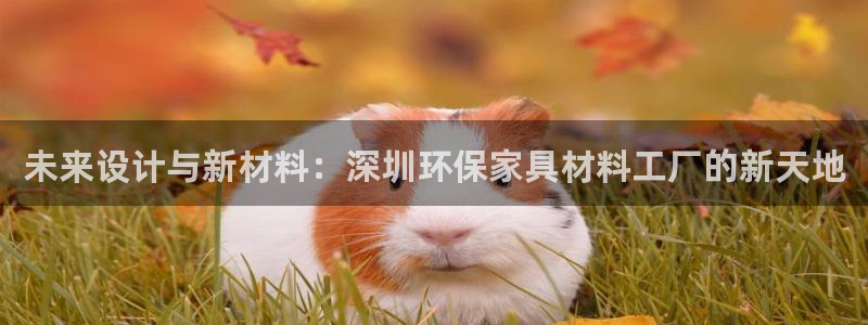 意昂5(KGAME)注册网址：未来设计与新材料：深圳环保家具