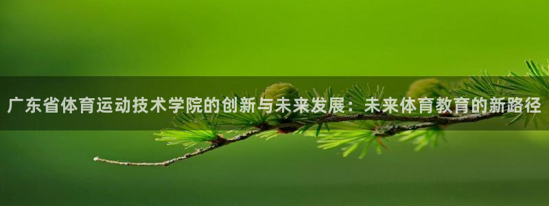 中欧体育平台：广东省体育运动技术学院的创新与未来发展：未来体育教育的新路径