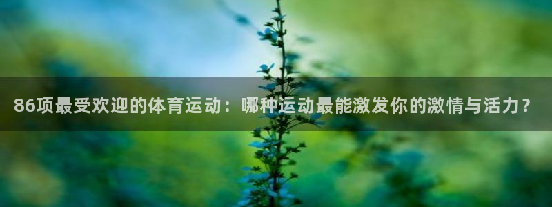 中欧体育(zoty)官网：86项最受欢迎的体育运动：哪种运动最能激发你的激情与活力？