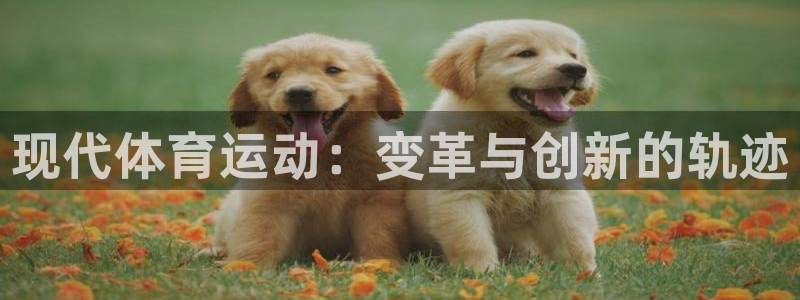 中欧体育(zoty)官网：现代体育运动：变革与创新的轨迹