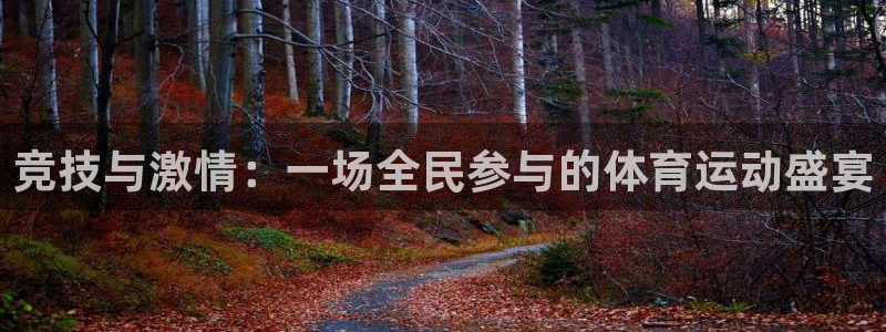 中欧体育：竞技与激情：一场全民参与的体育运动盛宴
