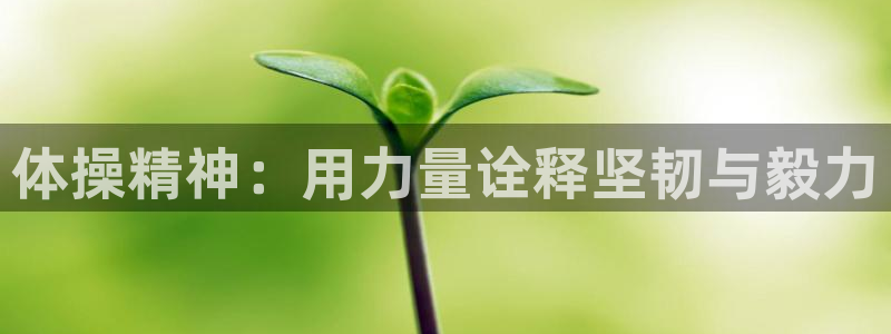 中欧体育全站app：体操精神：用力量诠释坚韧与毅力