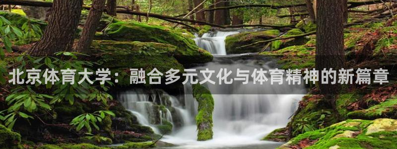 中欧体育登录：北京体育大学：融合多元文化与体育精神的新篇章