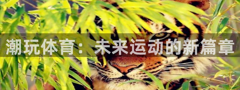 中欧体育网页登录：潮玩体育：未来运动的新篇章