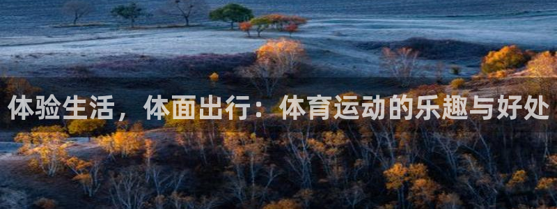 中欧体育下载：体验生活，体面出行：体育运动的乐趣与好处