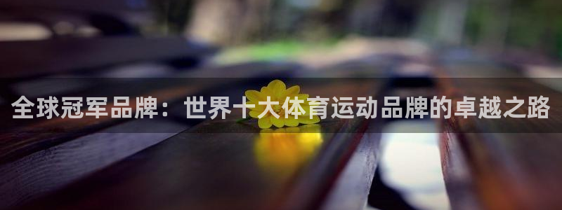 中欧体育网页登录：全球冠军品牌：世界十大体育运动品牌的卓越之路