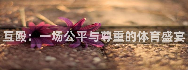 中欧体育kok官网首页：互殴：一场公平与尊重的体育盛宴