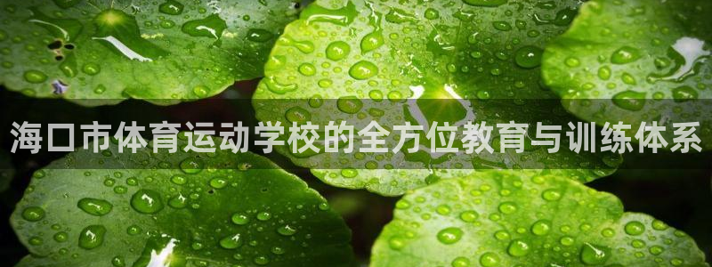 中欧体育ios：海口市体育运动学校的全方位教育与训练体系