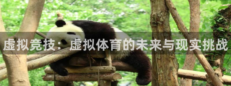 中欧体育ac米兰：虚拟竞技：虚拟体育的未来与现实挑战