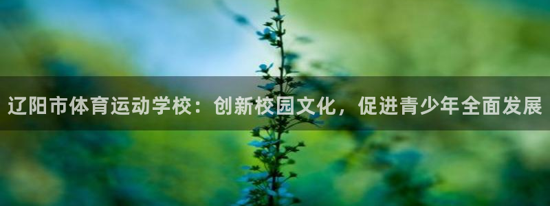 kok中欧体育：辽阳市体育运动学校：创新校园文化，促进青少年全面发展